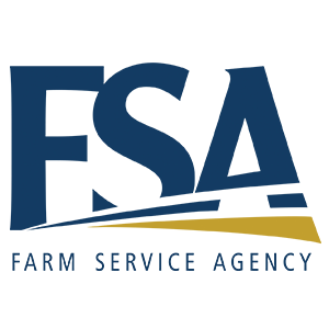 FSA